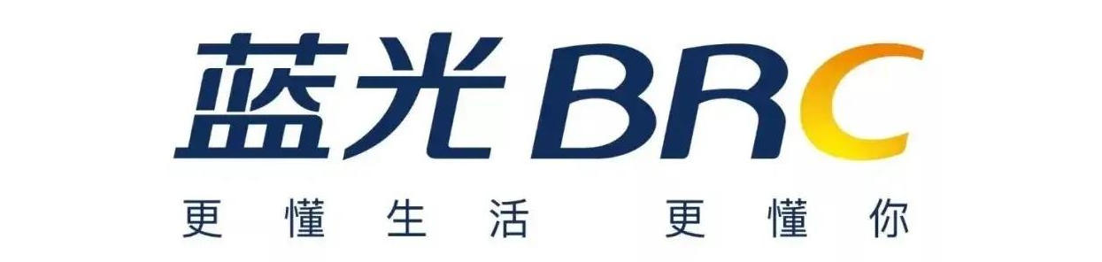 东宇市政合作伙伴-蓝光集团